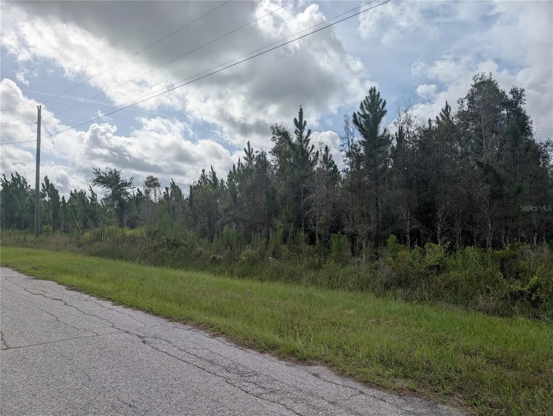 Meadowlark Boulevard Indian Lake Estates FL 33855