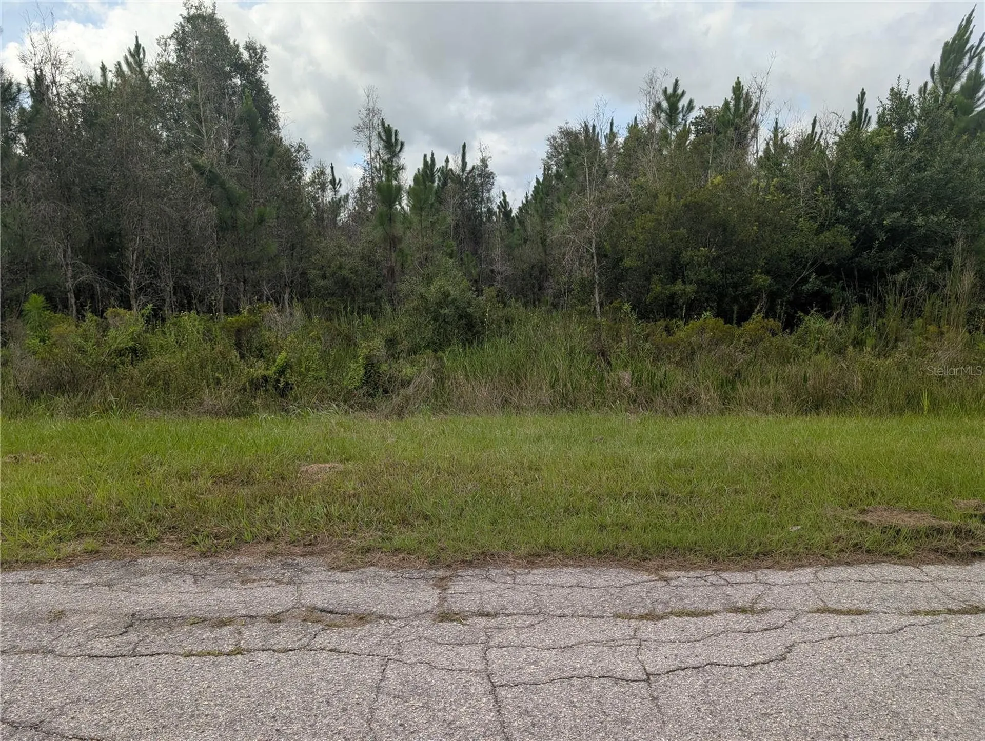 Meadowlark Boulevard Indian Lake Estates FL 33855