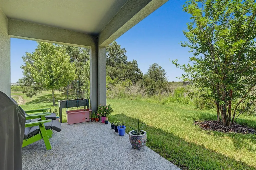 32092 Cannon Rush Drive San Antonio FL 33576