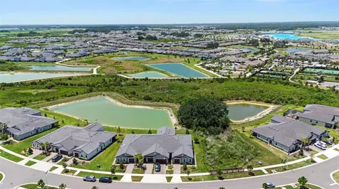 32092 Cannon Rush Drive San Antonio FL 33576