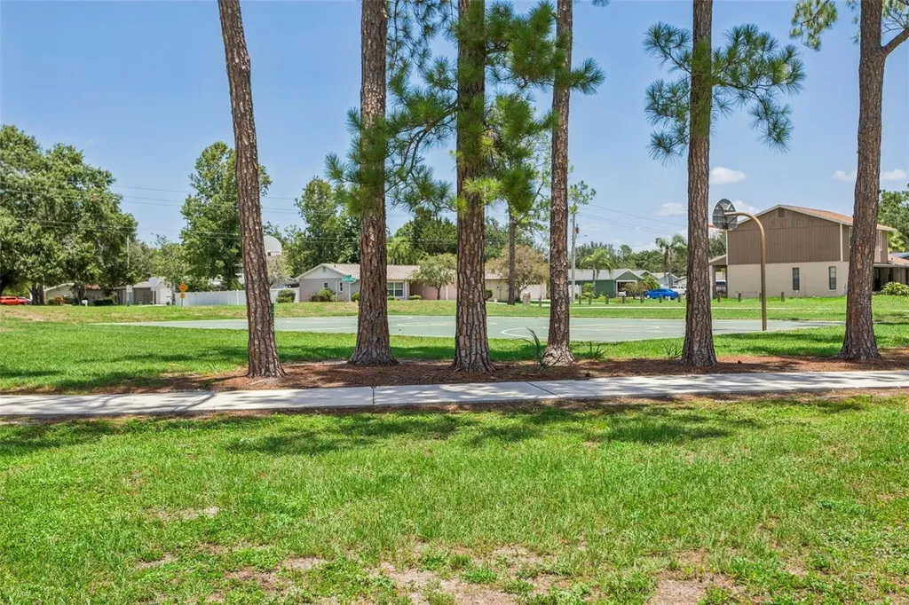 16117 Pebblebrook Drive Tampa FL 33624