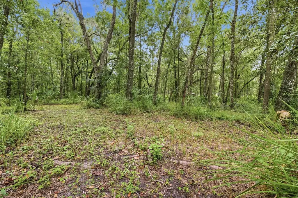 16184 Paxford Lane Brooksville FL 34601