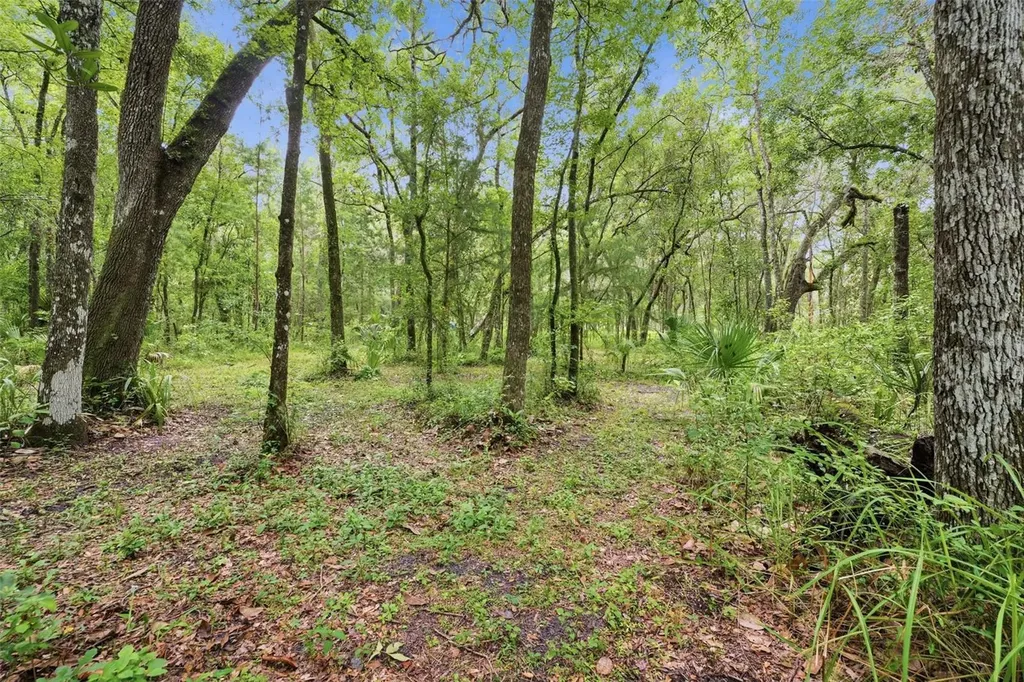 16184 Paxford Lane Brooksville FL 34601