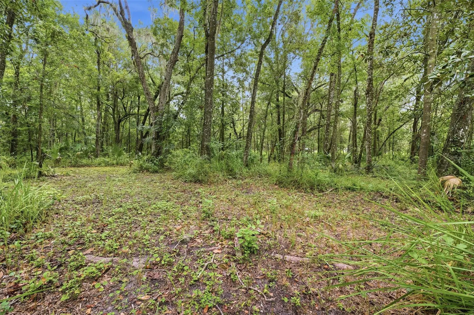 16184 Paxford Lane Brooksville FL 34601