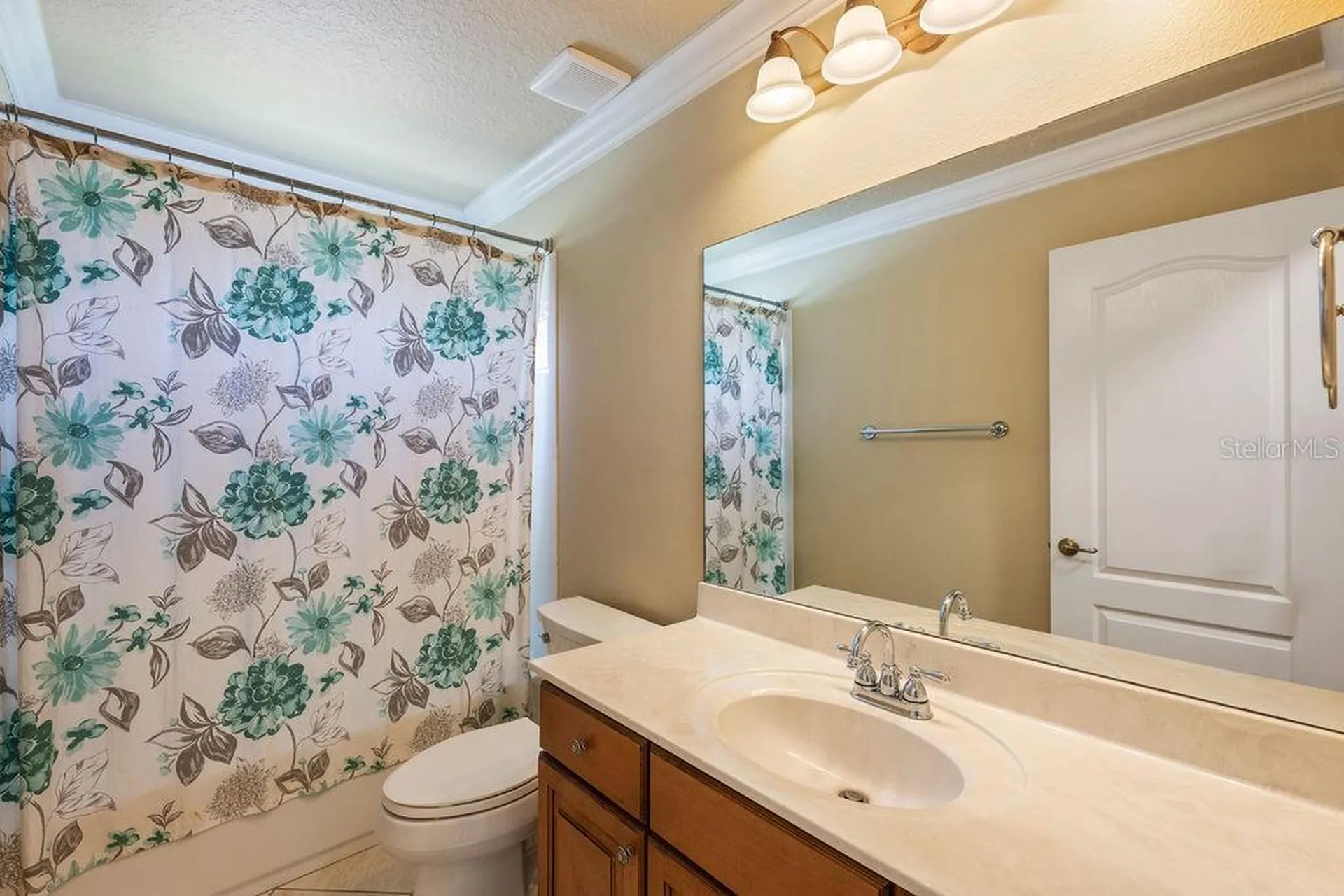 13624 Larsen Lane Winter Garden FL 34787