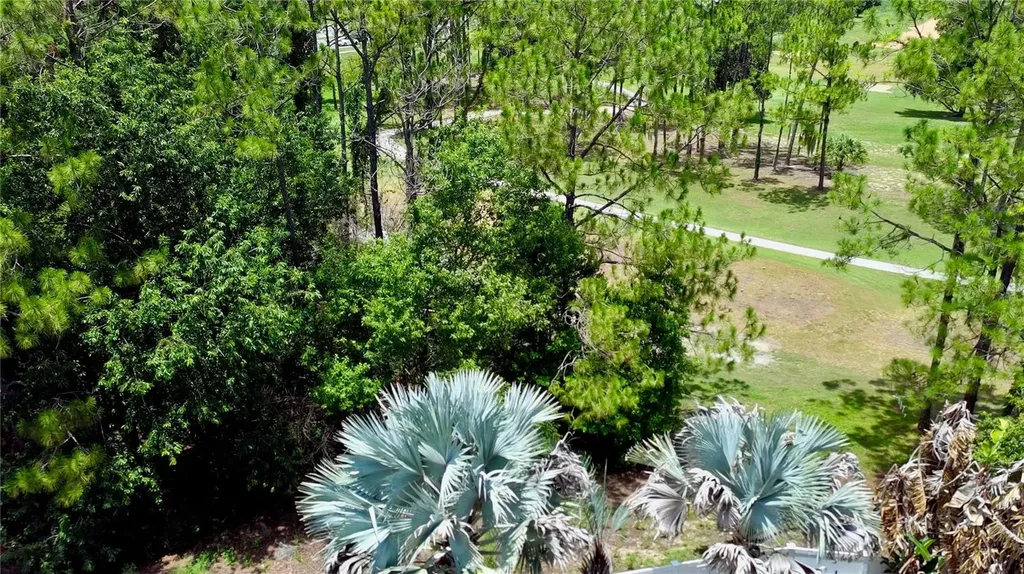 2067 Braxton Street Clermont FL 34711