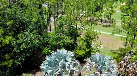 2067 Braxton Street Clermont FL 34711