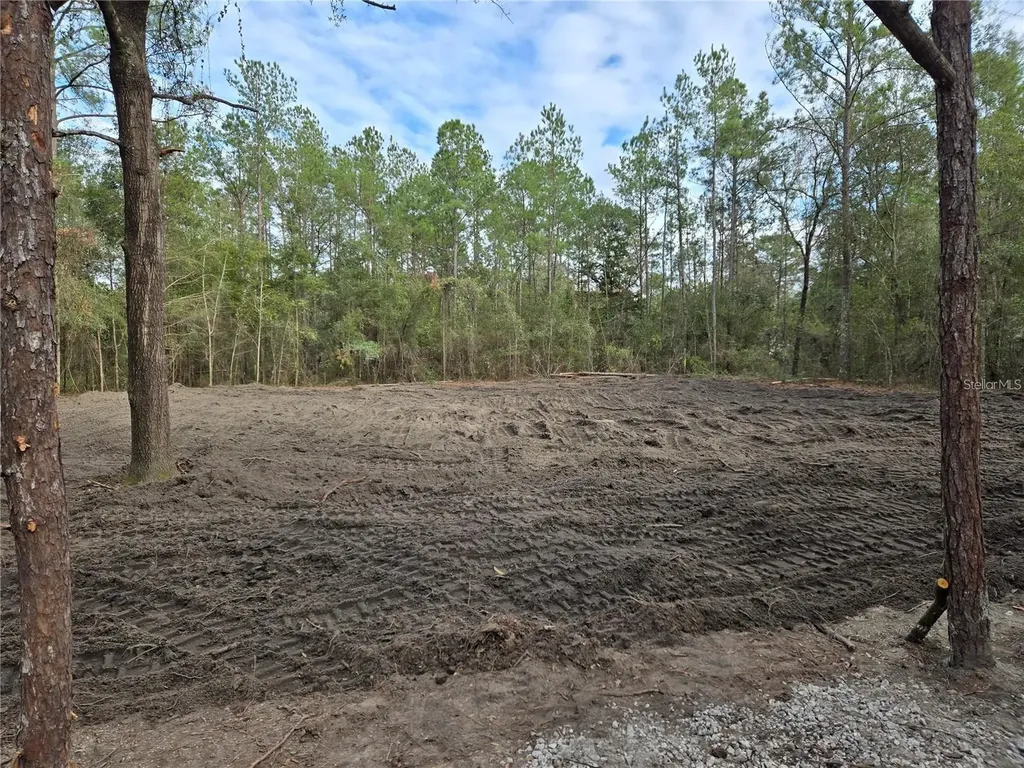 NE 127th Court Williston FL 32696