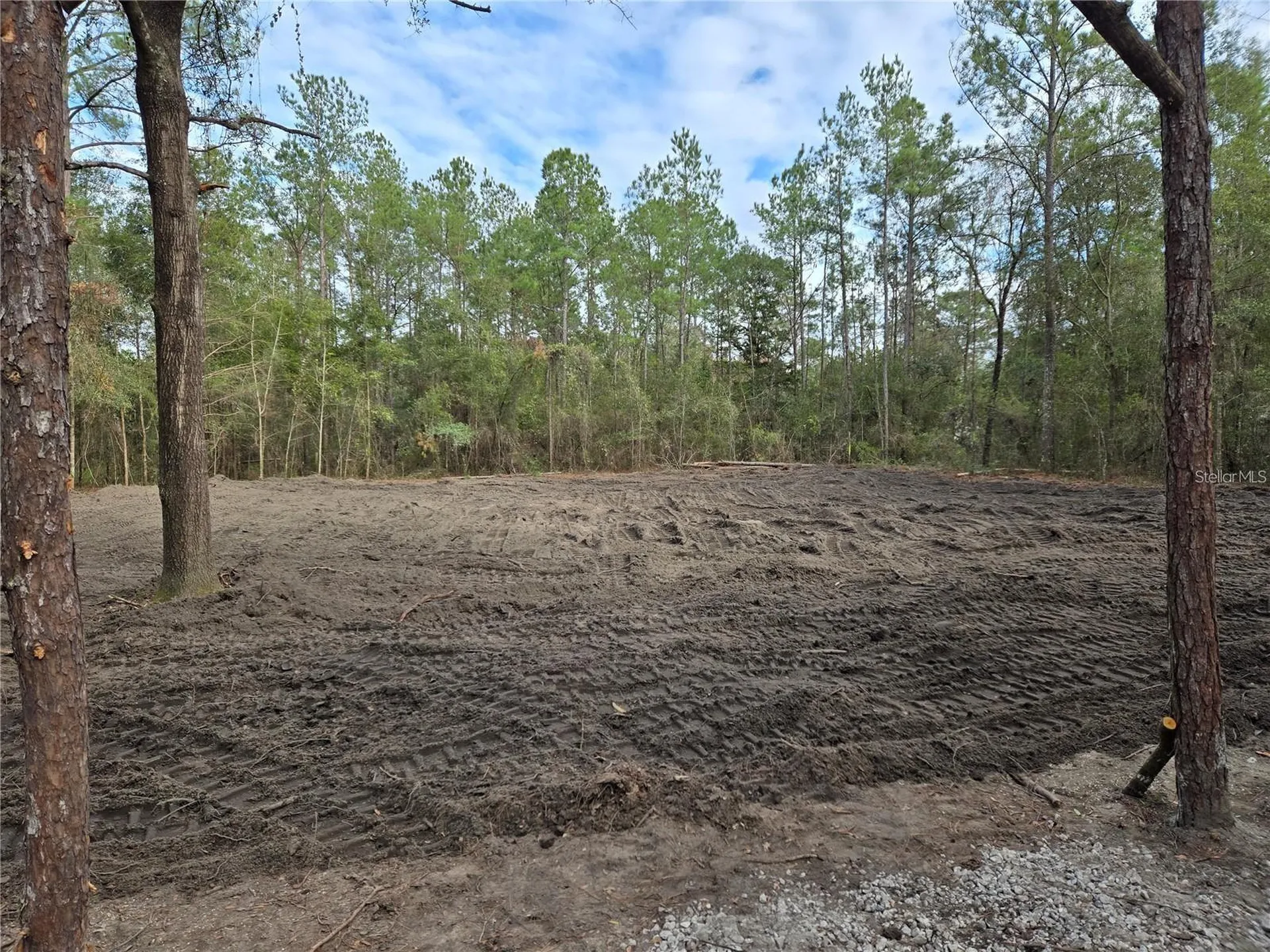 NE 127th Court Williston FL 32696