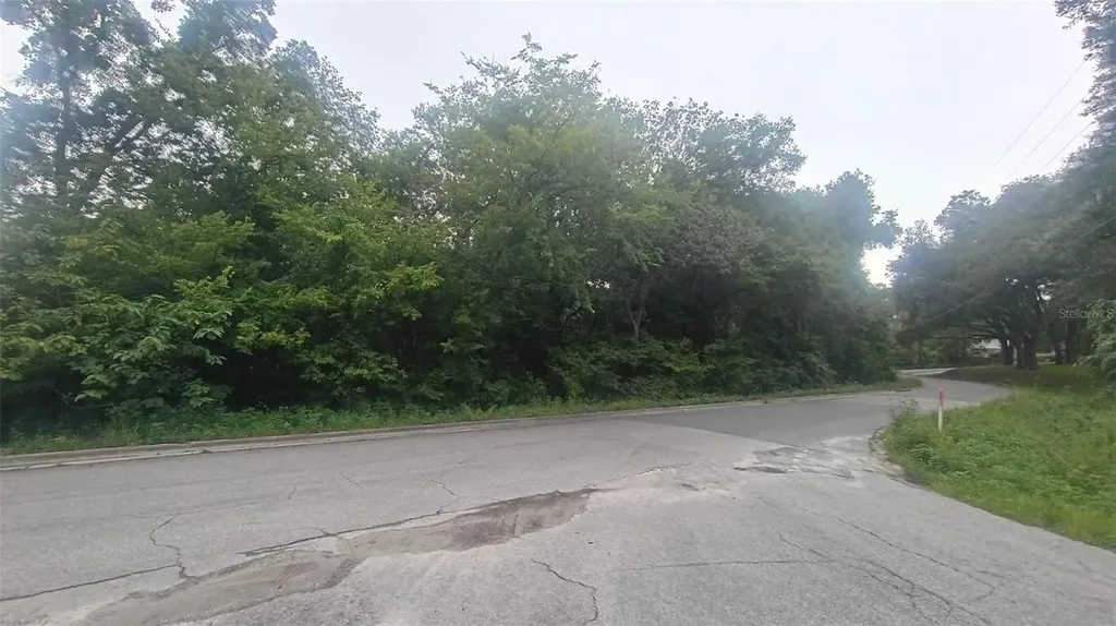 Tbd SE 106 Court Belleview FL 34420