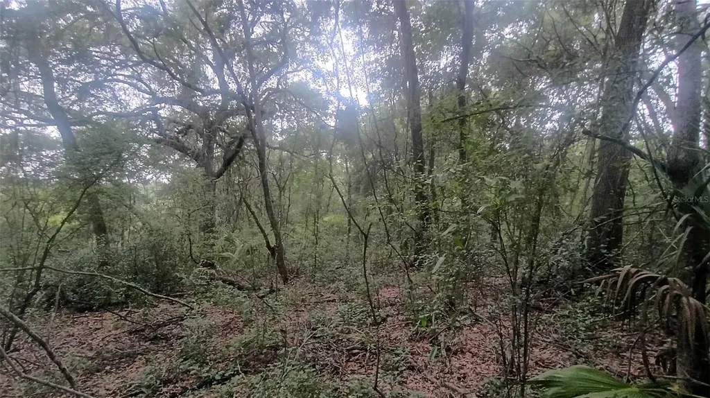 Tbd SE 106 Court Belleview FL 34420