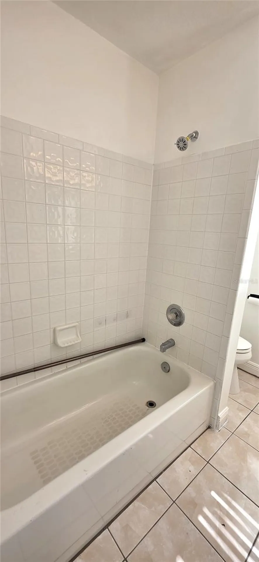 1506 Scotch Pine Drive Brandon FL 33511