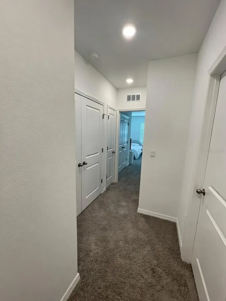 32599 Turtle Grace Loop Wesley Chapel FL 33545