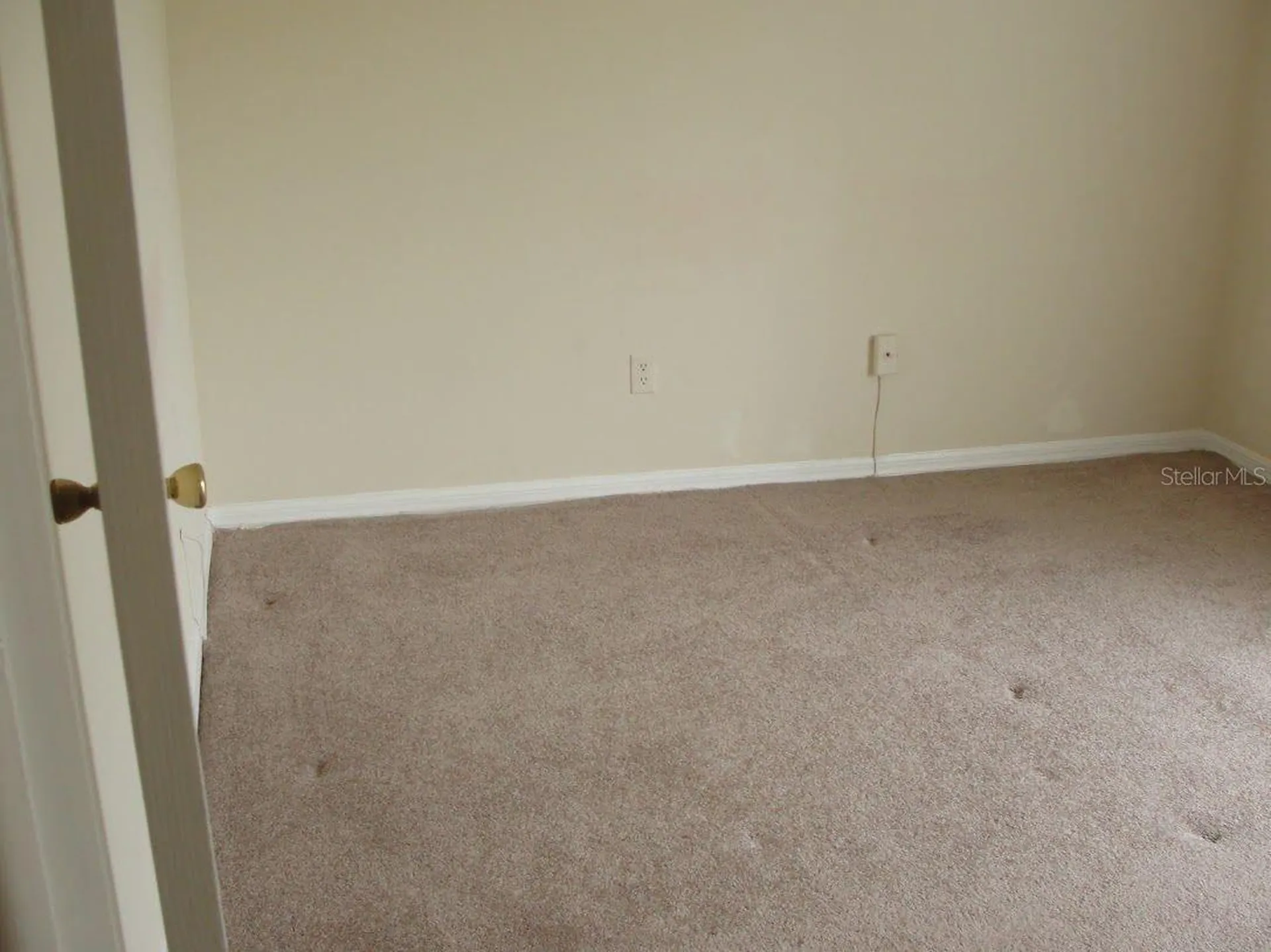 15235 W Pond Woods Drive Tampa FL 33618