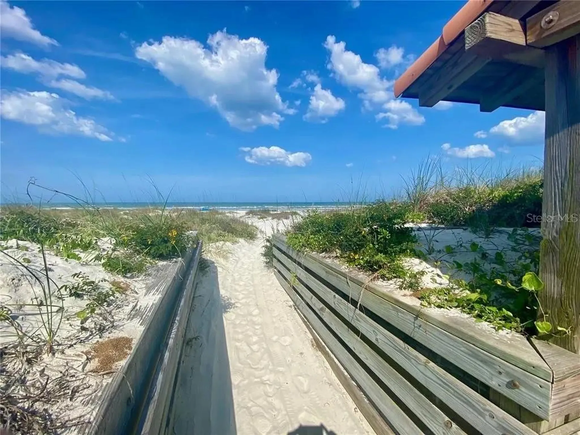 261 Minorca Beach Way New Smyrna Beach FL 32169