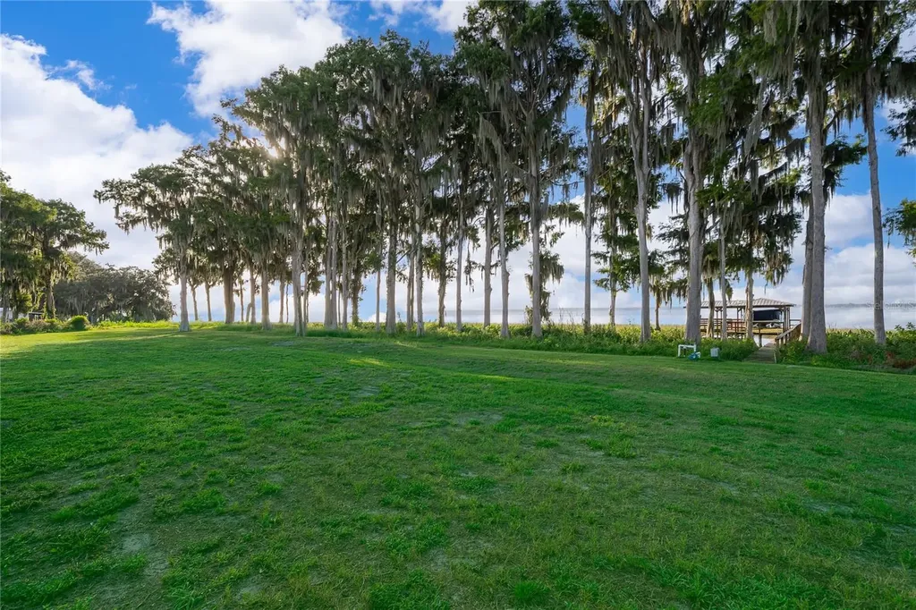 12131 Eagles Point Court Grand Island FL 32735