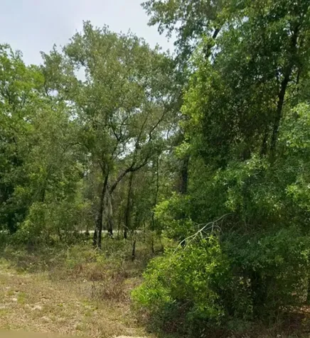 00 NW Highview Avenue Dunnellon FL 34431