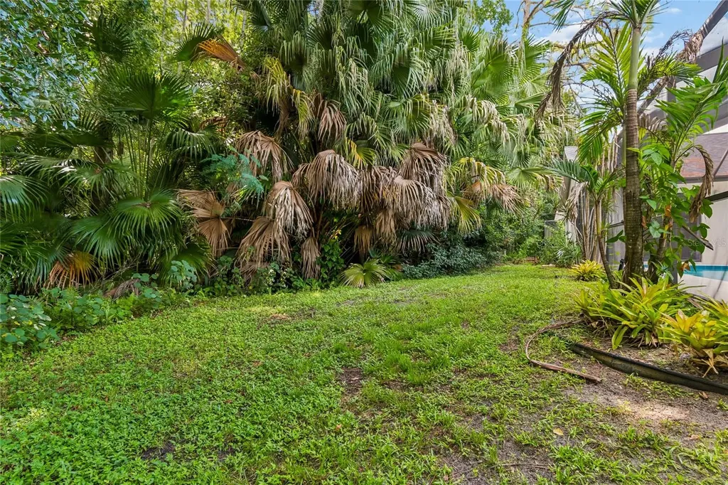 785 Centerwood Drive Tarpon Springs FL 34688