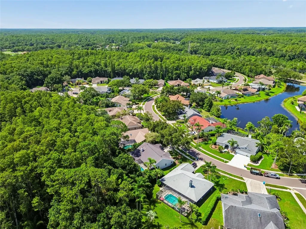 785 Centerwood Drive Tarpon Springs FL 34688