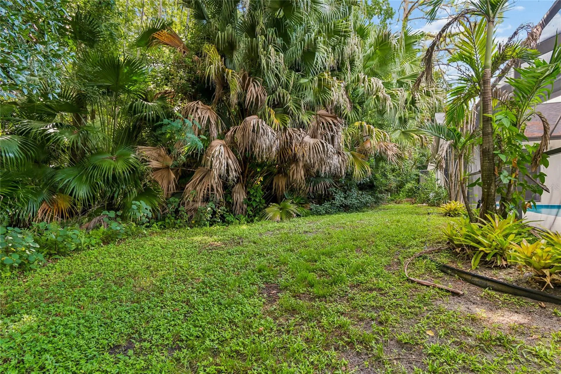 785 Centerwood Drive Tarpon Springs FL 34688