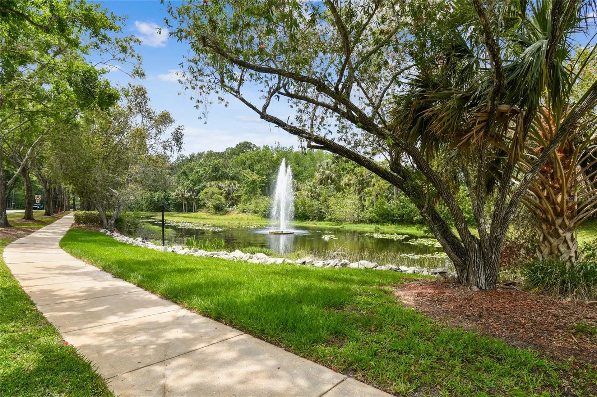 785 Centerwood Drive Tarpon Springs FL 34688