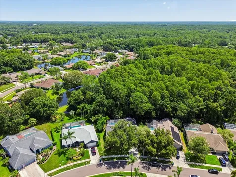 785 Centerwood Drive Tarpon Springs FL 34688