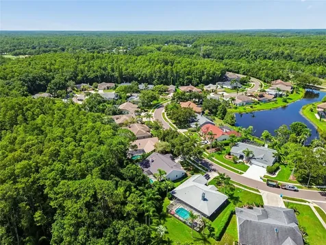 785 Centerwood Drive Tarpon Springs FL 34688