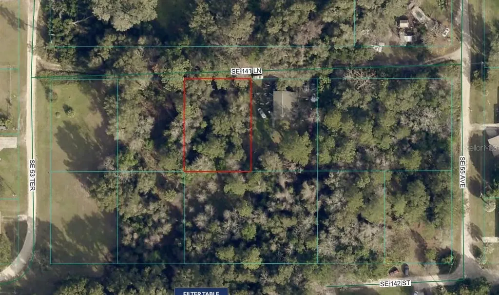 00 SE 141 Lane Summerfield FL 34491