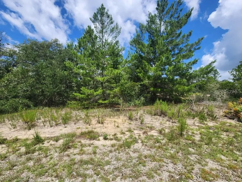 00 SW Gardenia Court Dunnellon FL 34432