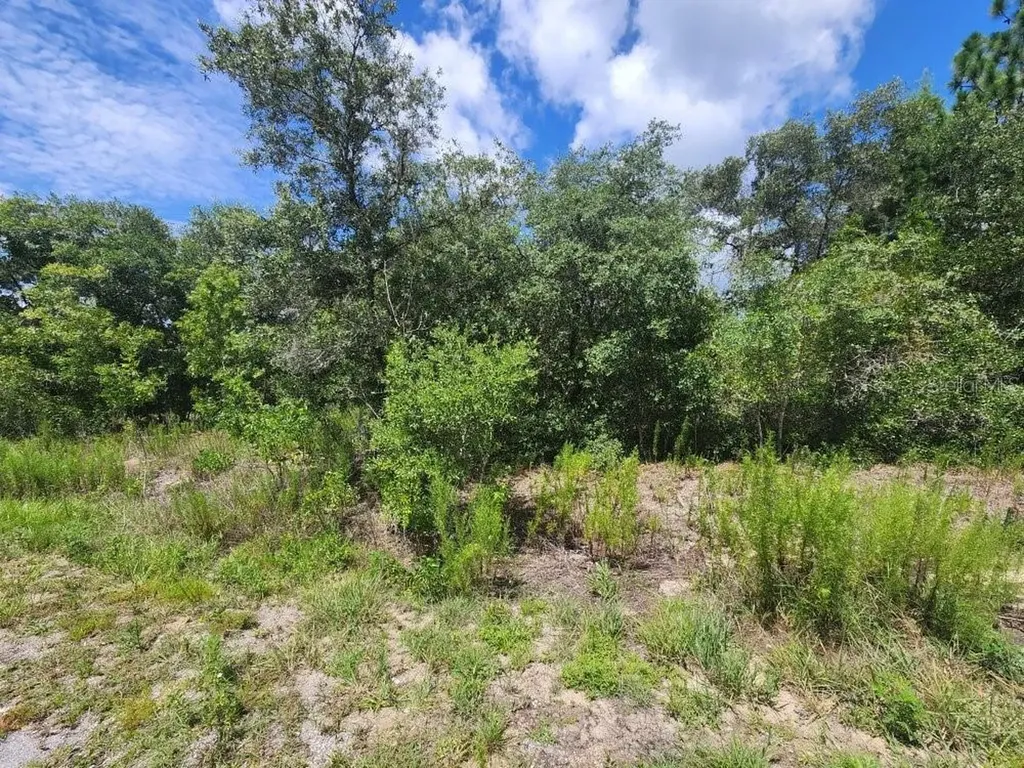 00 SW Gardenia Court Dunnellon FL 34432