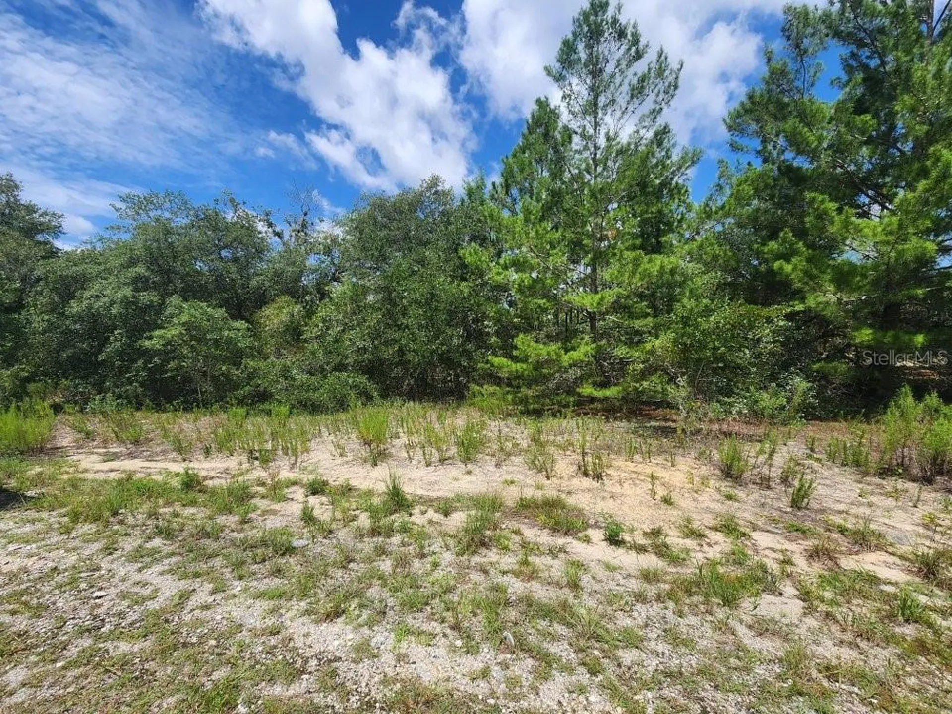 00 SW Gardenia Court Dunnellon FL 34432