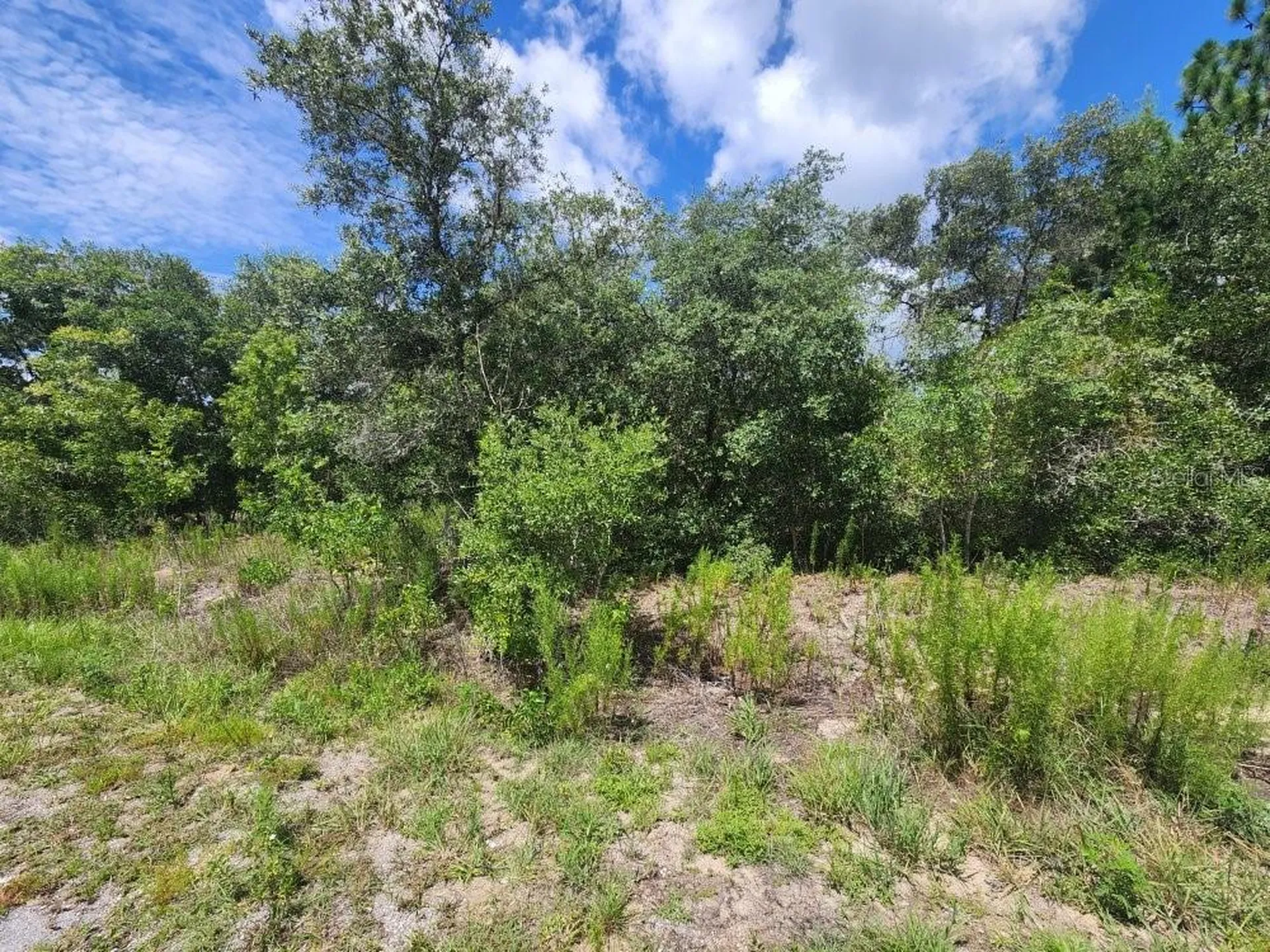 00 SW Gardenia Court Dunnellon FL 34432