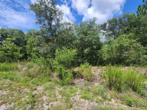 00 SW Gardenia Court Dunnellon FL 34432