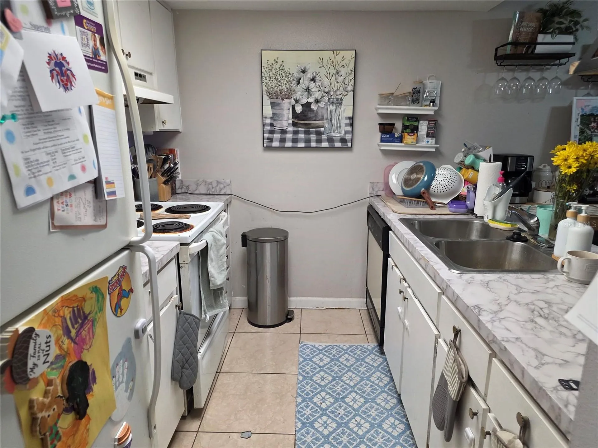 4823 W Mcelroy Avenue Tampa FL 33611