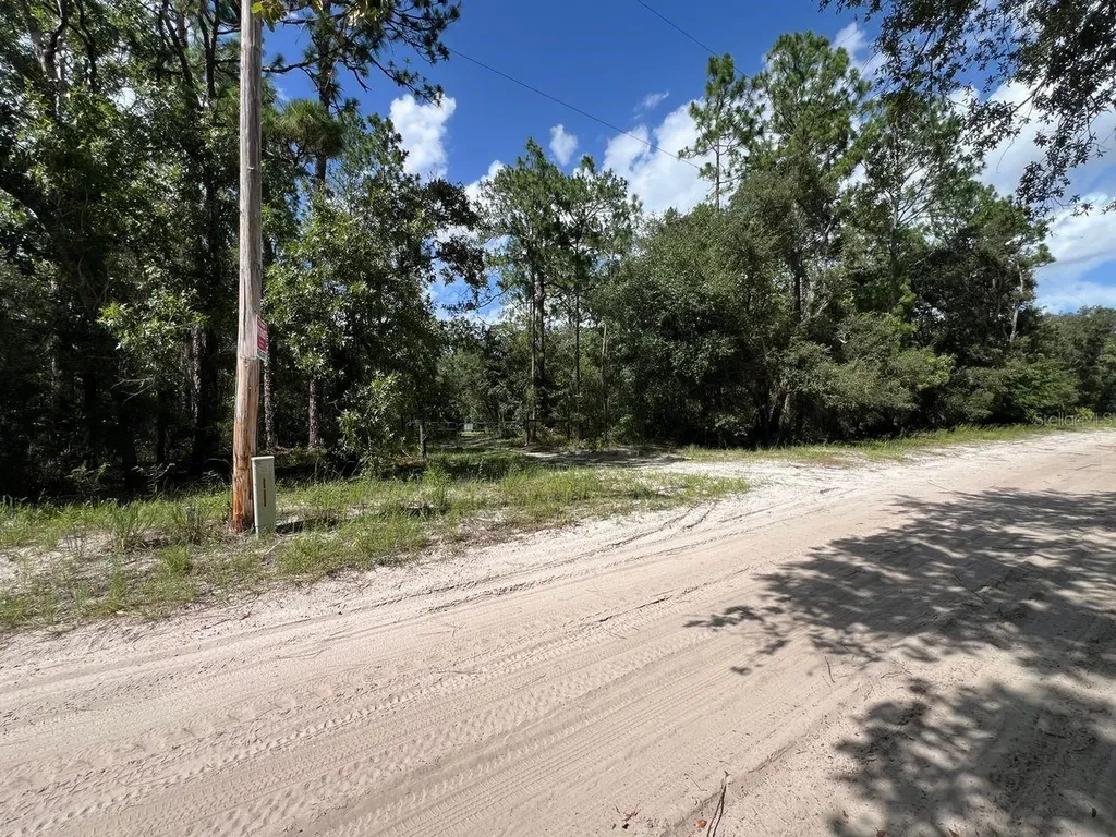 SW 157th Lane Dunnellon FL 34432
