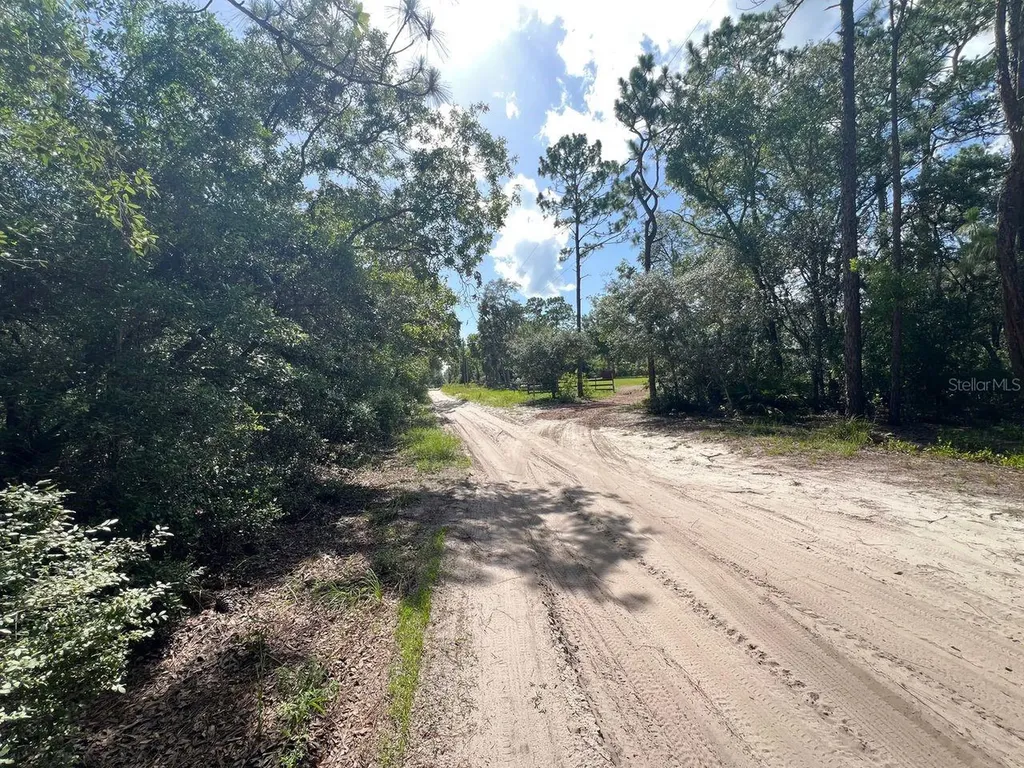 SW 157th Lane Dunnellon FL 34432