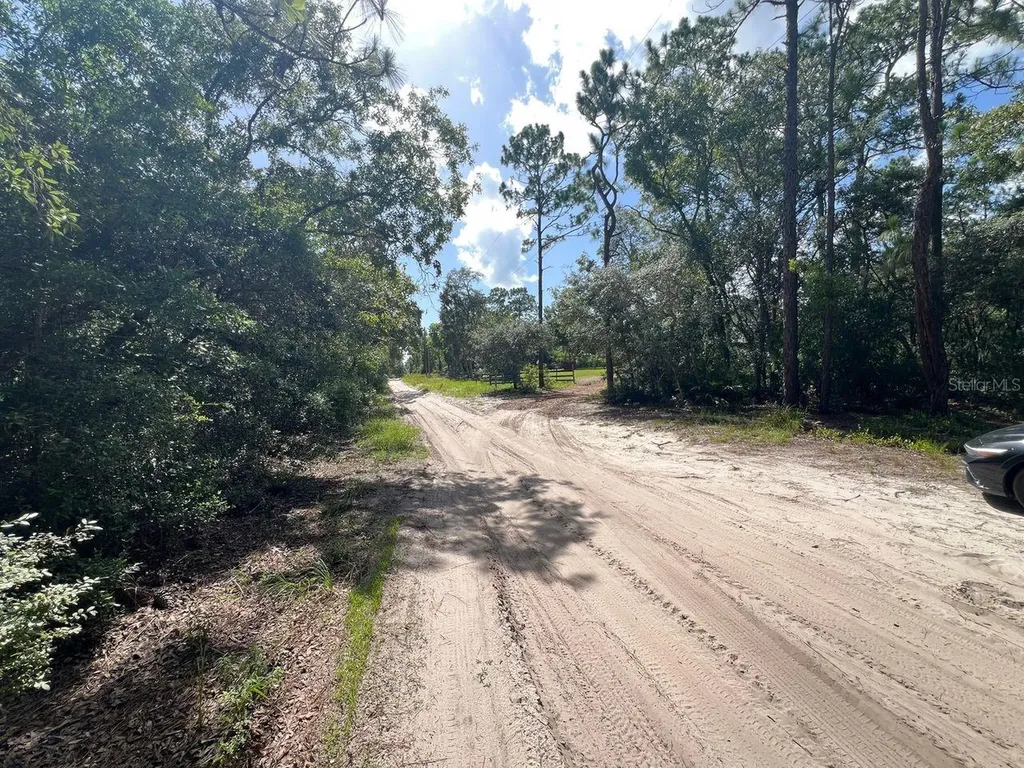 SW 157th Lane Dunnellon FL 34432