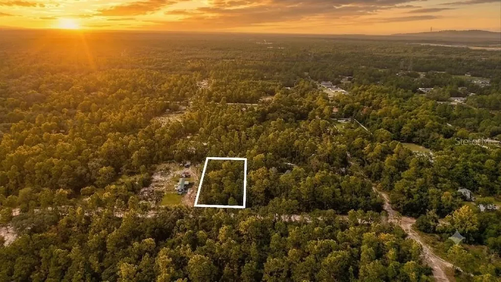 SW 157th Lane Dunnellon FL 34432