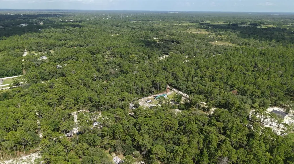 SW 157th Lane Dunnellon FL 34432