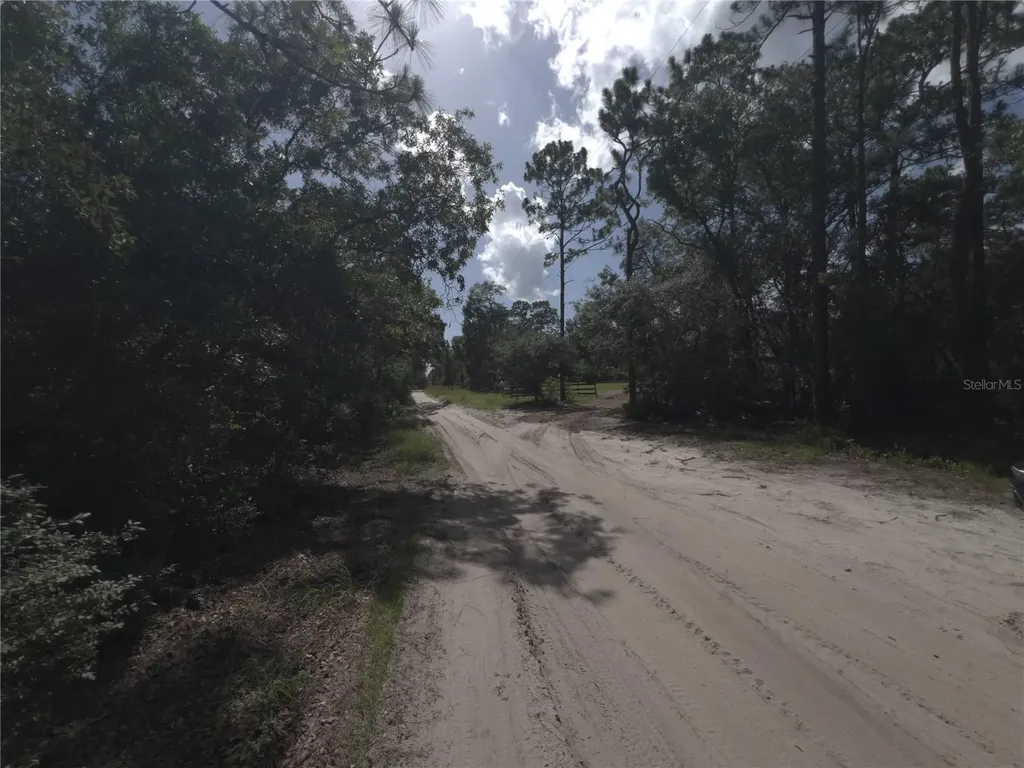 SW 157th Lane Dunnellon FL 34432