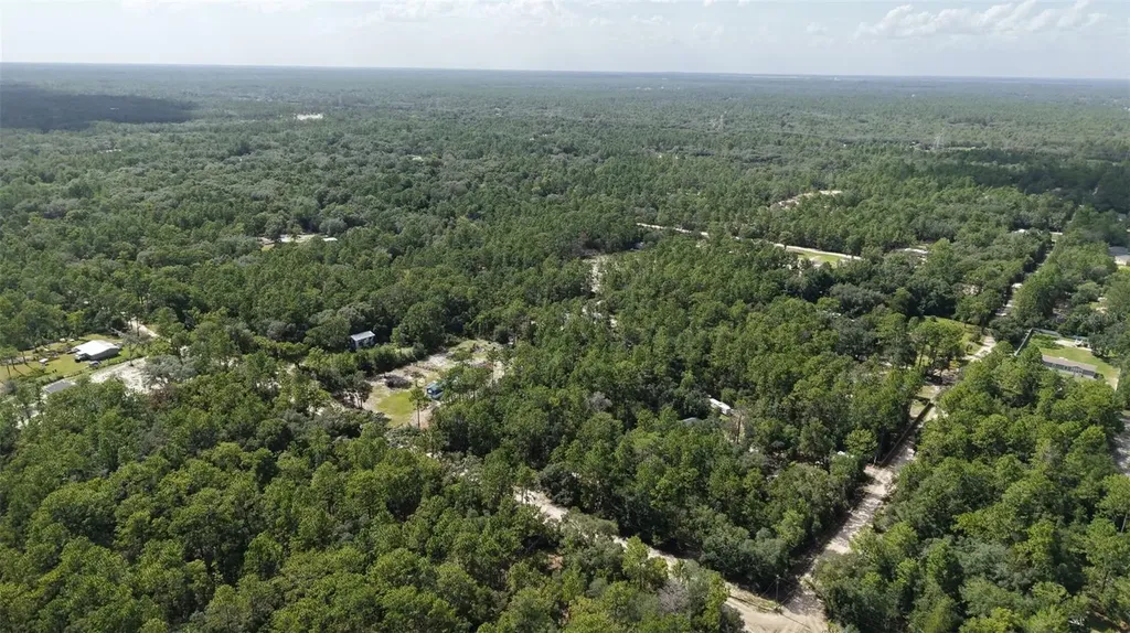 SW 157th Lane Dunnellon FL 34432