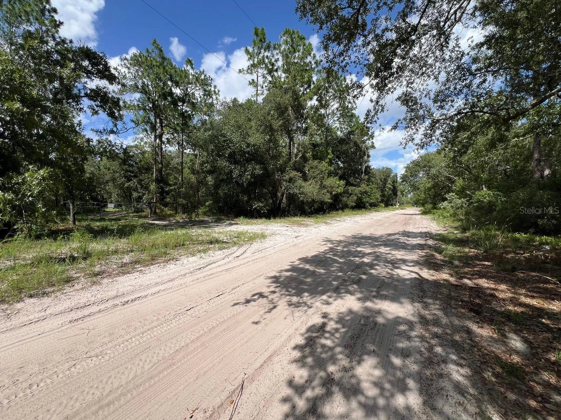 SW 157th Lane Dunnellon FL 34432