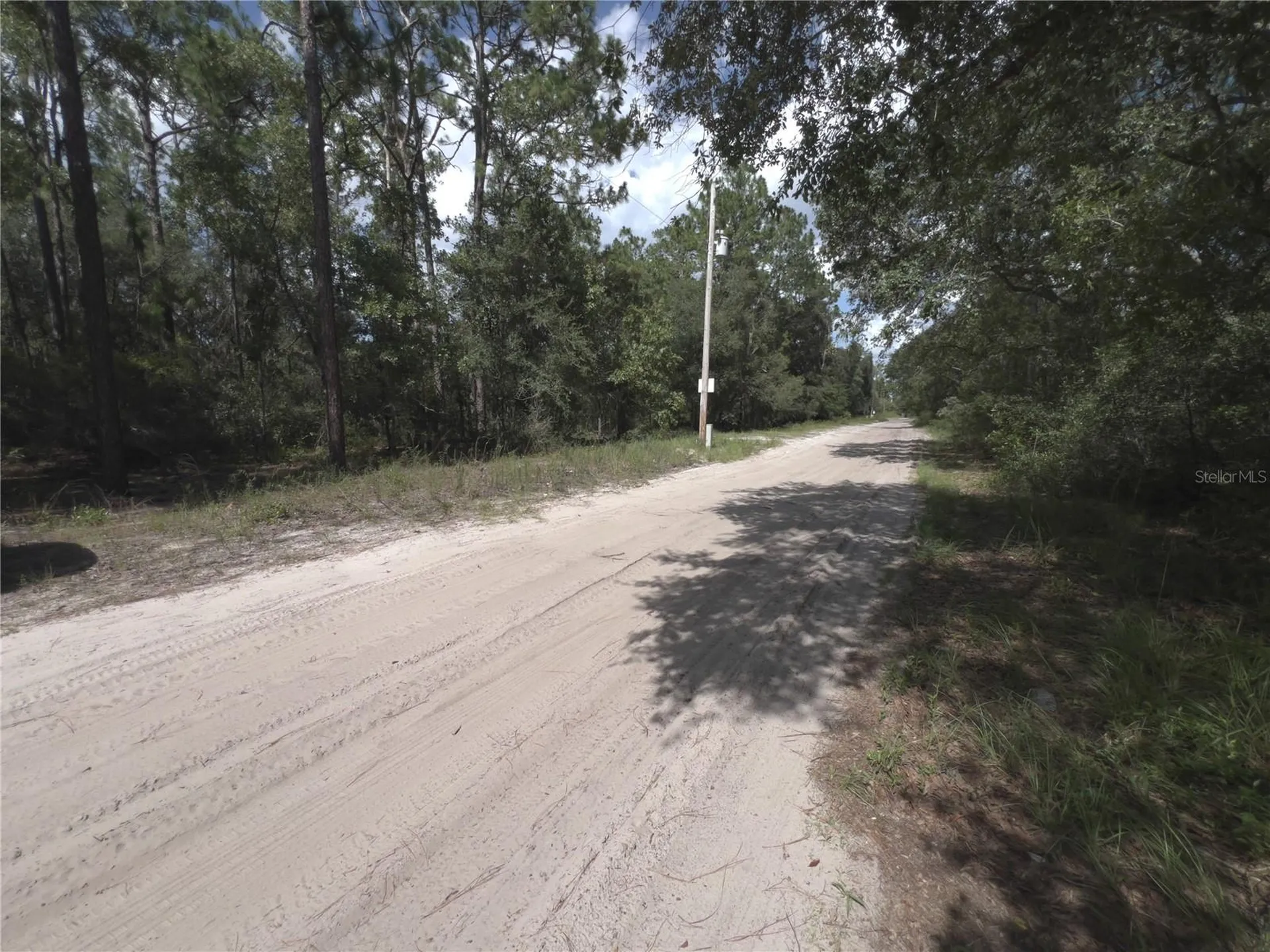 SW 157th Lane Dunnellon FL 34432
