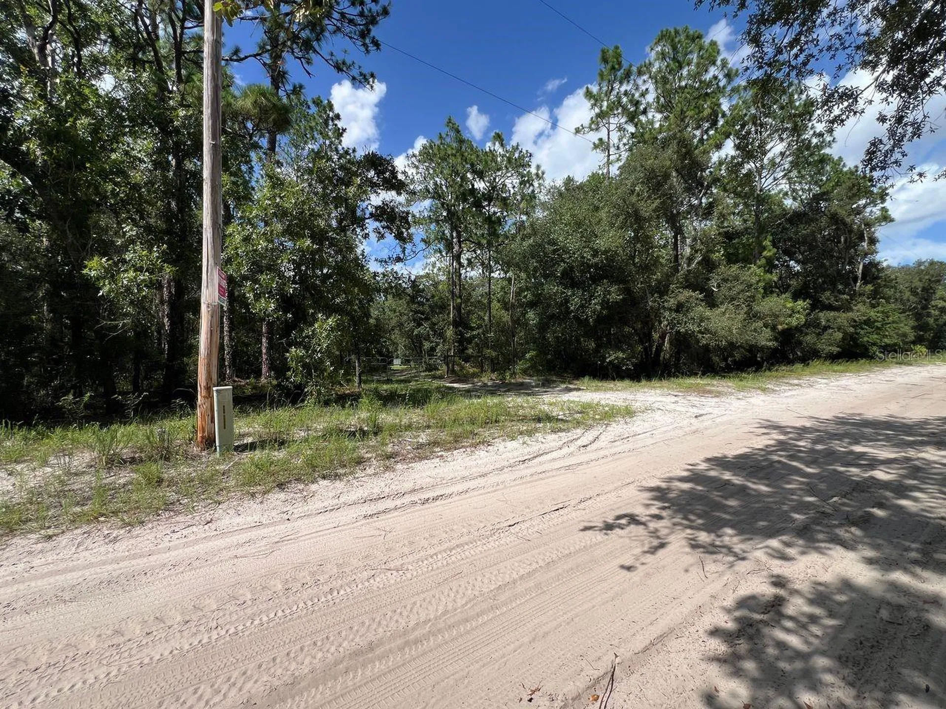 SW 157th Lane Dunnellon FL 34432