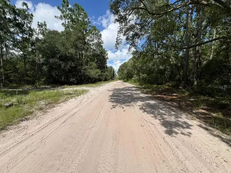 SW 157th Lane Dunnellon FL 34432