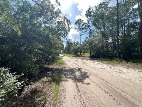 SW 157th Lane Dunnellon FL 34432