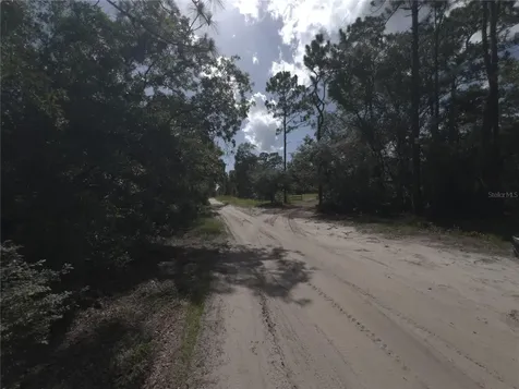 SW 157th Lane Dunnellon FL 34432