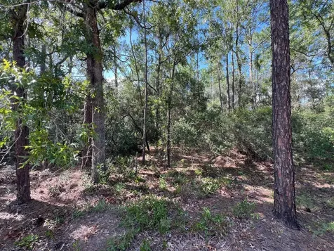 SW 157th Lane Dunnellon FL 34432