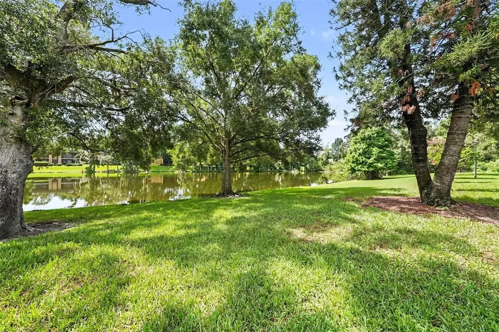 11805 Skylake Place Tampa FL 33617