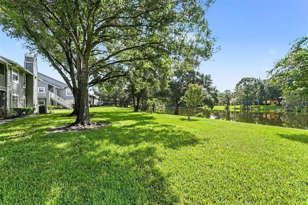 11805 Skylake Place Tampa FL 33617